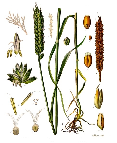 description